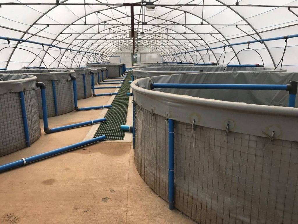 Mesh Tank 30m Diameter Products Shop Online Aquaculture Innovations