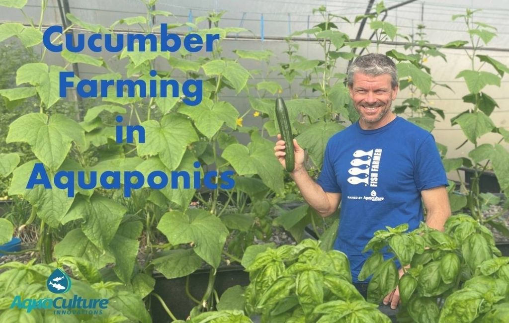 Aquaponics courses Aquaponics Could Be The Food Of The Future