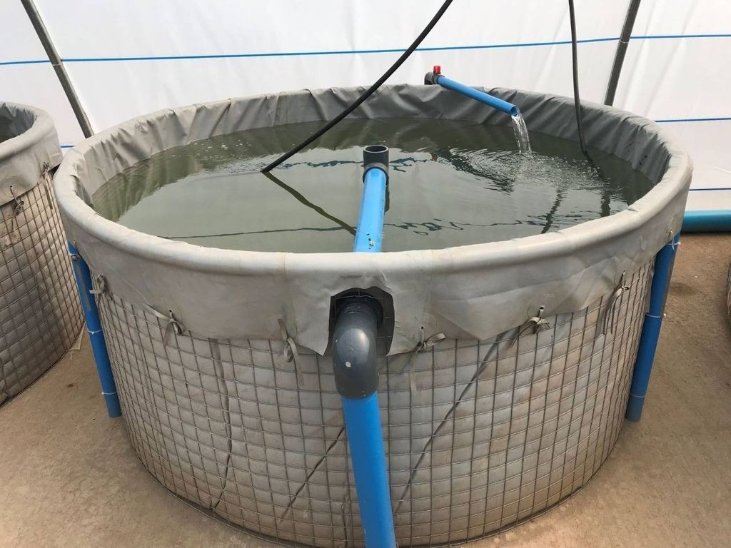 Mesh Tank 185m Diameter Products Shop Online Aquaculture Innovations